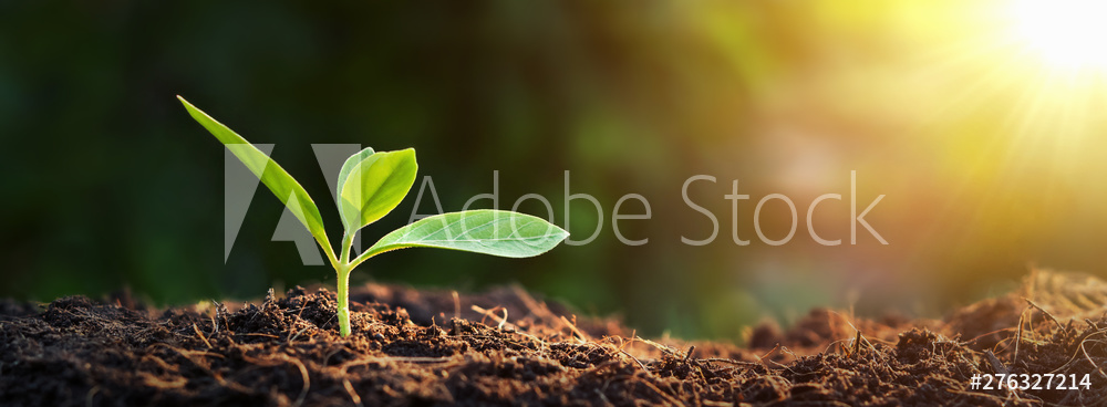AdobeStock_276327214_Preview